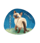 月夜のチャロと星のことば – renewal（個別スタンプ：16）