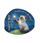 月夜のチャロと星のことば – renewal（個別スタンプ：17）