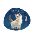 月夜のチャロと星のことば – renewal（個別スタンプ：18）