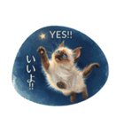 月夜のチャロと星のことば – renewal（個別スタンプ：19）