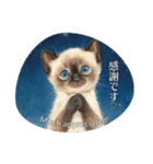 月夜のチャロと星のことば – renewal（個別スタンプ：21）