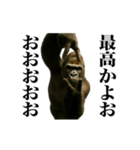 踊る！横揺れゴリラ（個別スタンプ：15）