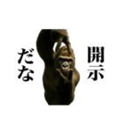 踊る！横揺れゴリラ（個別スタンプ：21）