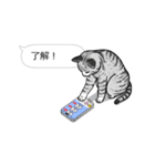 動く！吹き出しに群がる猫5（個別スタンプ：2）