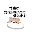 毎日五月病なねこたち 3D風！秋スタンプ（個別スタンプ：15）