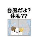 毎日五月病なねこたち 3D風！秋スタンプ（個別スタンプ：30）