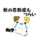 毎日五月病なねこたち 3D風！秋スタンプ（個別スタンプ：34）