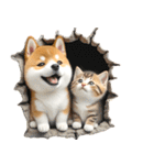豆柴とねこ♡文字なし（個別スタンプ：6）