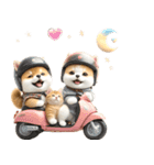 豆柴とねこ♡文字なし（個別スタンプ：14）