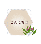 11月の誕生花＊メッセージスタンプ（個別スタンプ：2）