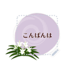 11月の誕生花＊メッセージスタンプ（個別スタンプ：5）