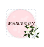 11月の誕生花＊メッセージスタンプ（個別スタンプ：14）