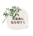 11月の誕生花＊メッセージスタンプ（個別スタンプ：20）