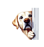 無言で伝えるラブラドールレトリバー（個別スタンプ：3）