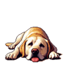 無言で伝えるラブラドールレトリバー（個別スタンプ：4）