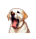 無言で伝えるラブラドールレトリバー（個別スタンプ：5）