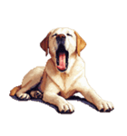 無言で伝えるラブラドールレトリバー（個別スタンプ：6）