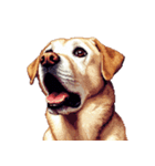 無言で伝えるラブラドールレトリバー（個別スタンプ：8）