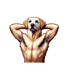 無言で伝えるラブラドールレトリバー（個別スタンプ：9）