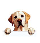 無言で伝えるラブラドールレトリバー（個別スタンプ：14）