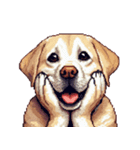 無言で伝えるラブラドールレトリバー（個別スタンプ：16）