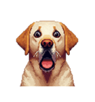 無言で伝えるラブラドールレトリバー（個別スタンプ：18）