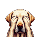 無言で伝えるラブラドールレトリバー（個別スタンプ：20）
