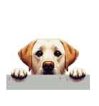 無言で伝えるラブラドールレトリバー（個別スタンプ：21）