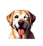 無言で伝えるラブラドールレトリバー（個別スタンプ：22）
