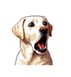 無言で伝えるラブラドールレトリバー（個別スタンプ：23）