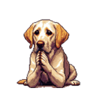 無言で伝えるラブラドールレトリバー（個別スタンプ：24）