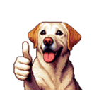 無言で伝えるラブラドールレトリバー（個別スタンプ：26）