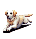 無言で伝えるラブラドールレトリバー（個別スタンプ：29）
