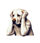 無言で伝えるラブラドールレトリバー（個別スタンプ：30）