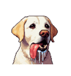 無言で伝えるラブラドールレトリバー（個別スタンプ：31）