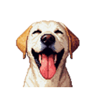 無言で伝えるラブラドールレトリバー（個別スタンプ：34）