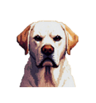 無言で伝えるラブラドールレトリバー（個別スタンプ：35）