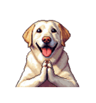 無言で伝えるラブラドールレトリバー（個別スタンプ：36）