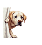 無言で伝えるラブラドールレトリバー（個別スタンプ：37）