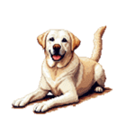 無言で伝えるラブラドールレトリバー（個別スタンプ：38）