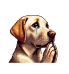 無言で伝えるラブラドールレトリバー（個別スタンプ：40）