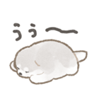 アラスカンマラミュートの赤ちゃん（個別スタンプ：31）