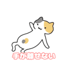 ねこねこの住む家4（個別スタンプ：2）