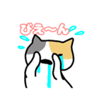 ねこねこの住む家4（個別スタンプ：12）