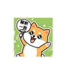 柴犬のスタンプ-推し活1（個別スタンプ：7）