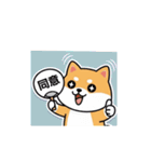 柴犬のスタンプ-推し活1（個別スタンプ：9）