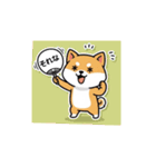 柴犬のスタンプ-推し活1（個別スタンプ：10）