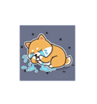 柴犬のスタンプ-推し活1（個別スタンプ：15）