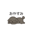 落書き風トイプー グレー（日常会話）（個別スタンプ：2）