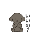 落書き風トイプー グレー（日常会話）（個別スタンプ：6）